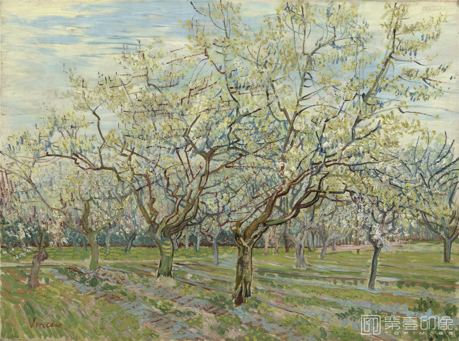 油画-文森特·威廉·梵高 Vincent Willem van Gogh-Orchard with Blossoming Apricot Trees2-277